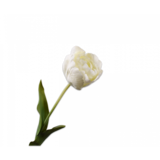 SILK-KA Tulipano Bianco | 84cm SILK-KA Tulipano Bianco | 84cm