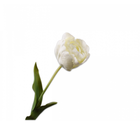 SILK-KA Tulipán Blanco | 84cm SILK-KA Tulipán Blanco | 84cm