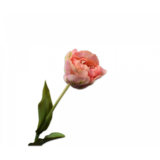 SILK-KA Tulipe Rose / Vert | 84 cm SILK-KA Tulipe Rose / Vert | 84 cm