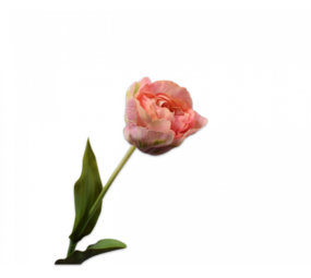 SILK-KA Tulipán Rosa / Verde | 84cm SILK-KA Tulipán Rosa / Verde | 84cm