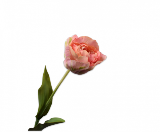 SILK-KA Tulpe Rosa / Grün | 84 cm SILK-KA Tulpe Rosa / Grün | 84 cm