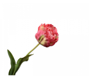 SILK-KA Rose tulipe | 84 cm SILK-KA Rose tulipe | 84 cm