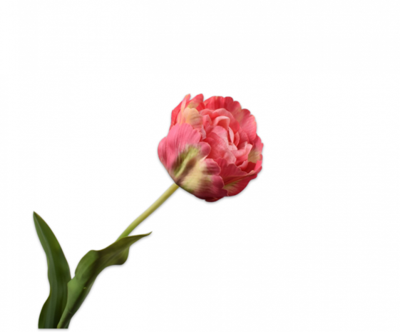 SILK-KA Tulipan rosa | 84 cm SILK-KA Tulipan rosa | 84 cm