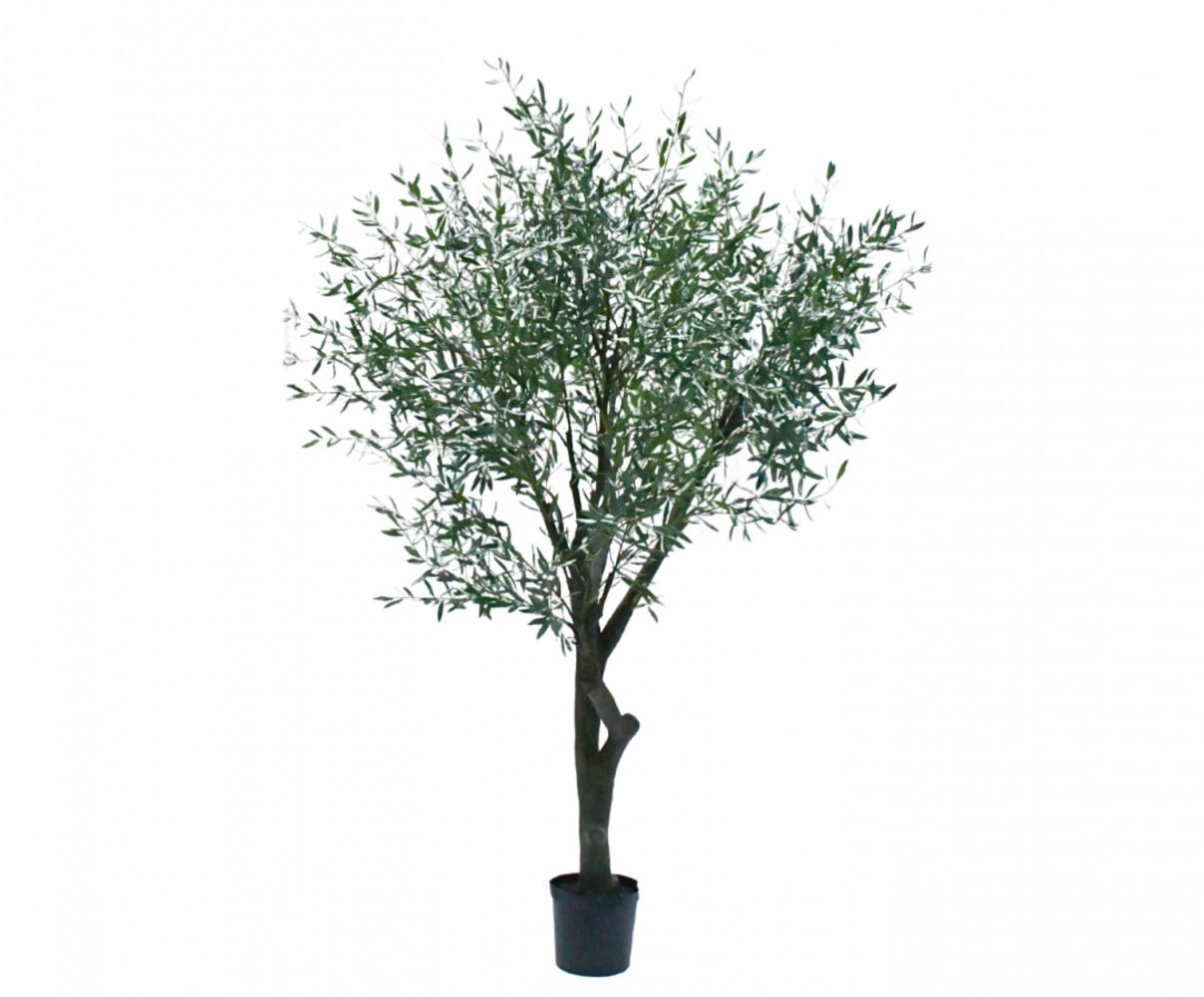 SILK-KA Oliventre grønt | 305 cm SILK-KA Oliventre grønt | 305 cm