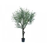 SILK-KA Olive Tree Green | 305 cm SILK-KA Olive Tree Green | 305 cm