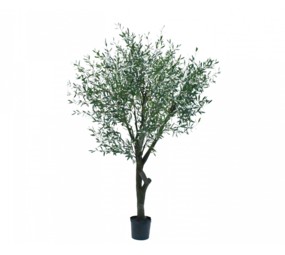 SILK-KA Olijf Boom Groen | 305 cm SILK-KA Olijf Boom Groen | 305 cm