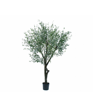 SILK-KA Olive Tree Green | 305 cm
