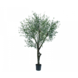 SILK-KA Olijf Boom Groen | 305 cm SILK-KA Olijf Boom Groen | 305 cm