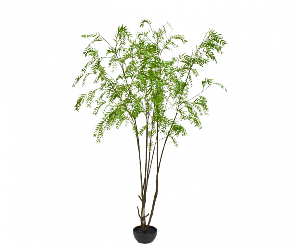 SILK-KA Planta Verde | 280cm SILK-KA Planta Verde | 280cm