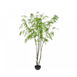 SILK-KA Plante verte | 280cm