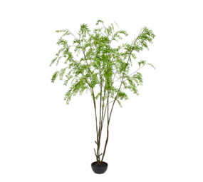 SILK-KA Pflanzengrün | 280 cm SILK-KA Pflanzengrün | 280 cm