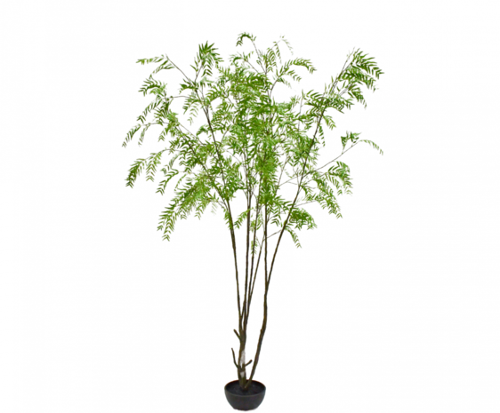 SILK-KA Planta Verde | 280cm SILK-KA Planta Verde | 280cm