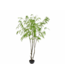 SILK-KA Planta Verde | 280cm