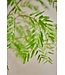 SILK-KA Planta Verde | 280cm