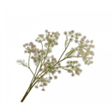 SILK-KA Dill Branch Pink | 140 cm SILK-KA Dill Branch Pink | 140 cm