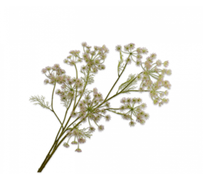 SILK-KA Branche d'Aneth Rose | 140 cm