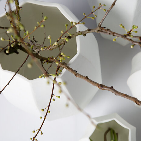 Guaxs Koonam høy vase | Opal
