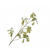 SILK-KA Ramo di campanula verde | 118 centimetri