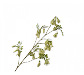 SILK-KA Ramo di campanula verde | 118 centimetri