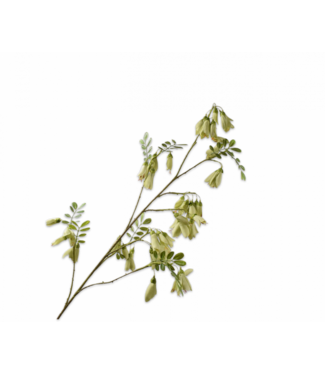 SILK-KA Ramo di campanula verde | 118 centimetri