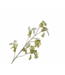 SILK-KA Branche de Campanule Verte | 118 cm