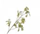 Ramo di campanula verde | 118 centimetri
