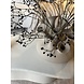 POLDR Design Vase à gelée | Sable Mat POLDR Design Vase à gelée | Sable Mat