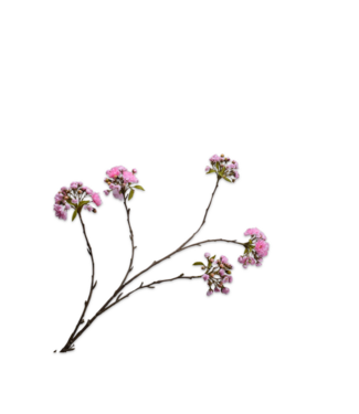 SILK-KA Rama de flor rosa | 132 centímetros