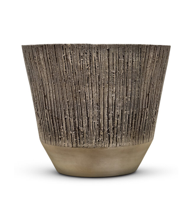 DOMANI ALBI | Beige