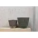 DOMANI ALBI | Beige DOMANI ALBI | Beige