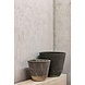DOMANI ALBI | Beige DOMANI ALBI | Beige