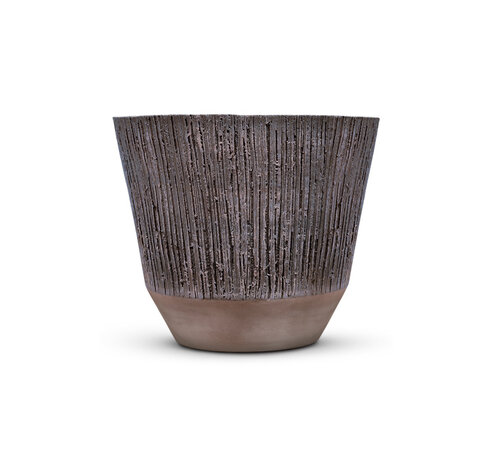 DOMANI ALBI | Púrpura DOMANI ALBI | Púrpura