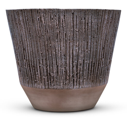 DOMANI ALBI | Púrpura DOMANI ALBI | Púrpura