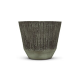 DOMANI ALBI | Grønn