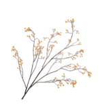 SILK-KA Bærgren Orange | 133 cm