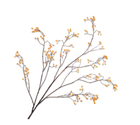 SILK-KA Bærgren Orange | 133 cm