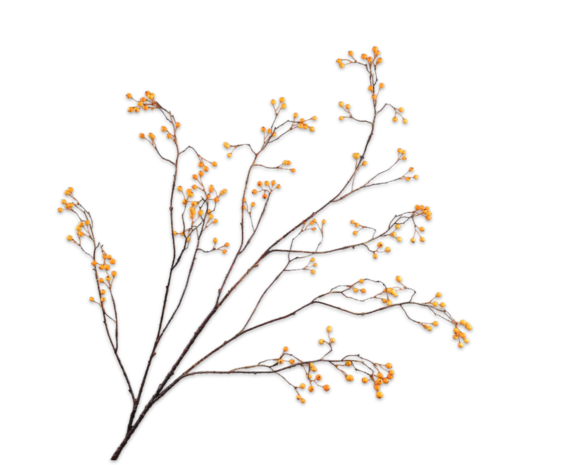 SILK-KA Ramo di bacche Arancio | 133 centimetri SILK-KA Ramo di bacche Arancio | 133 centimetri