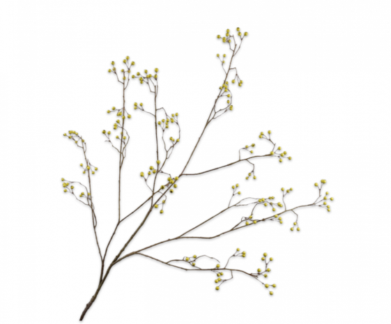 SILK-KA Ramo di bacche Verde | 136 centimetri SILK-KA Ramo di bacche Verde | 136 centimetri