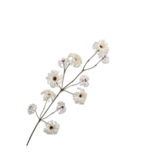 SILK-KA Crema de rama de clemátide | 107 centímetros SILK-KA Crema de rama de clemátide | 107 centímetros