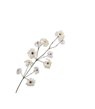 SILK-KA Clematis Tak Creme | 107 cm