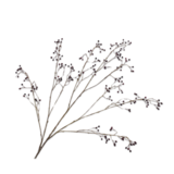 SILK-KA Bessentak Bordeaux | 133 cm