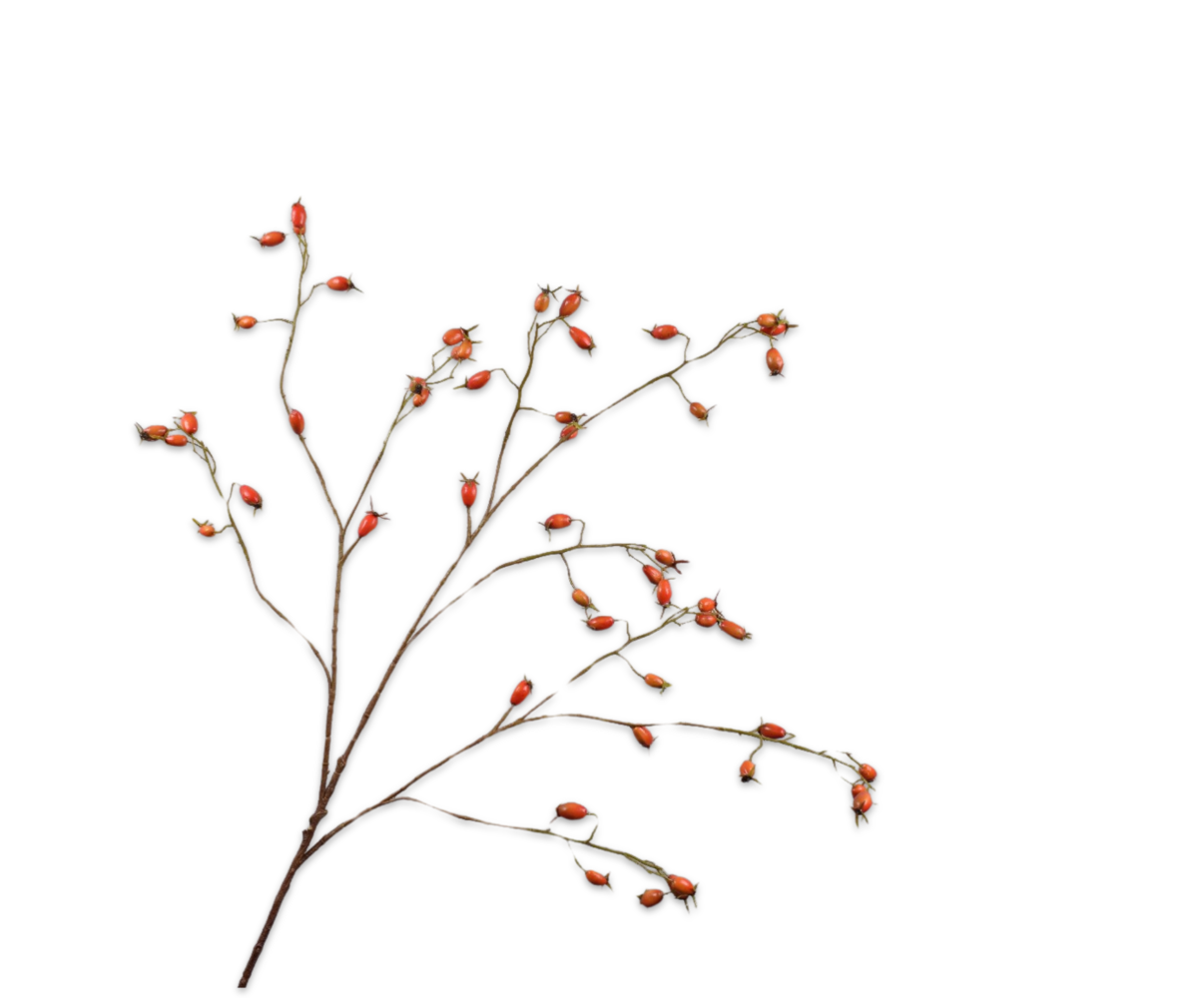 SILK-KA Rosehip Branch Orange | 106 cm SILK-KA Rosehip Branch Orange | 106 cm