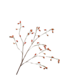 SILK-KA Nypegren oransje | 106 cm