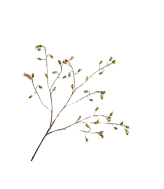 SILK-KA Branche d'églantier verte | 106 cm