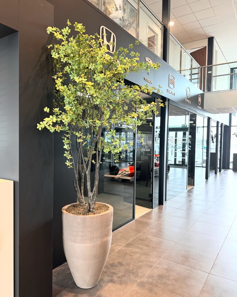 DOMANI PARIS | Naturgrau 80 DOMANI PARIS | Naturgrau 80