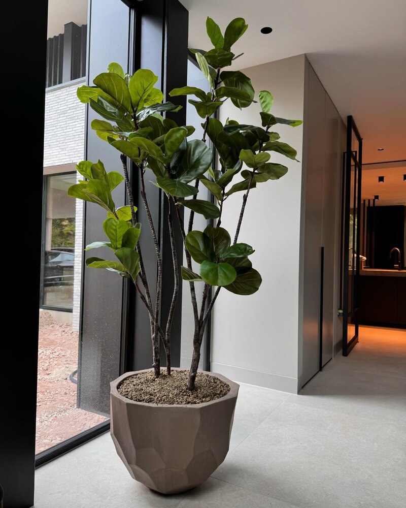 DOMANI BILBAO | Gris natural DOMANI BILBAO | Gris natural