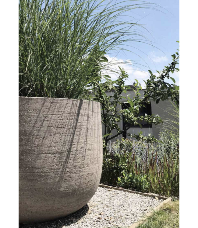 DOMANI GRAZ | Gris naturel