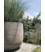 DOMANI GRAZ | Natural Grey