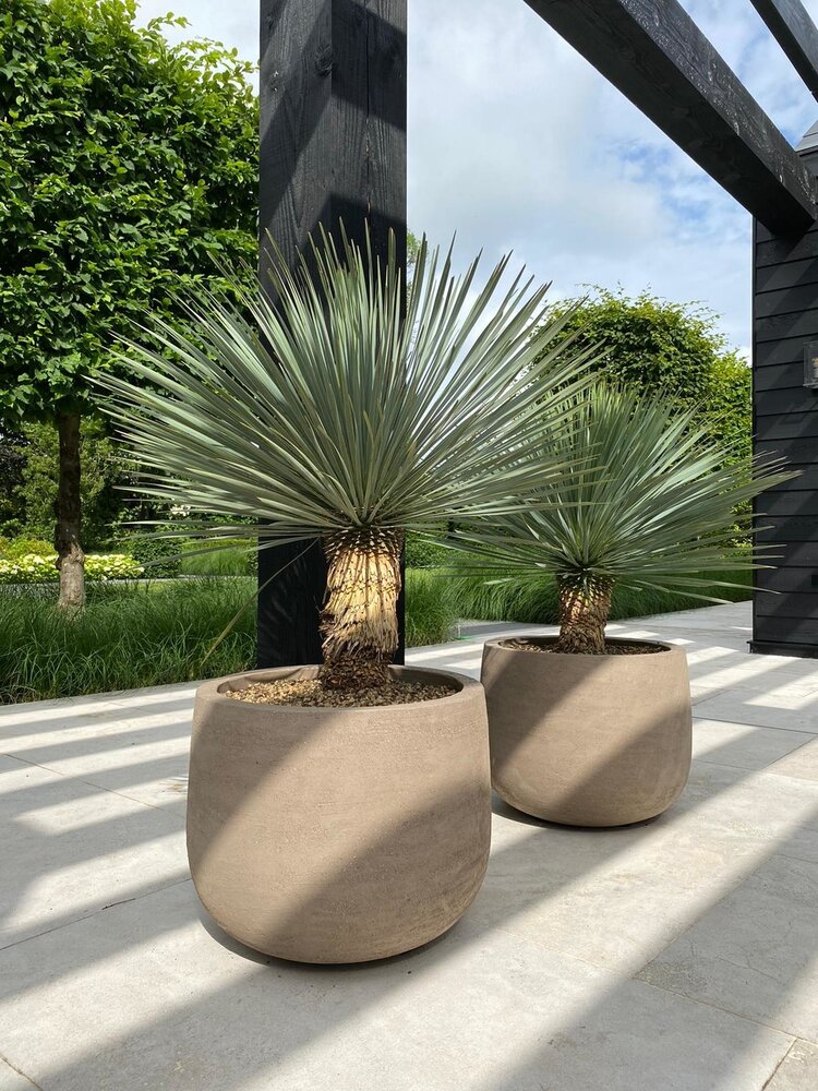 DOMANI GRAZ | Gris naturel DOMANI GRAZ | Gris naturel