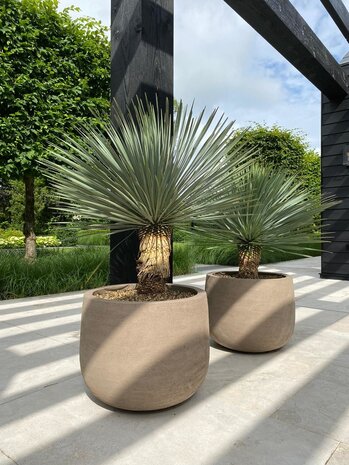 DOMANI GRAZ | Gris naturel DOMANI GRAZ | Gris naturel